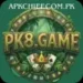 pk-8-game